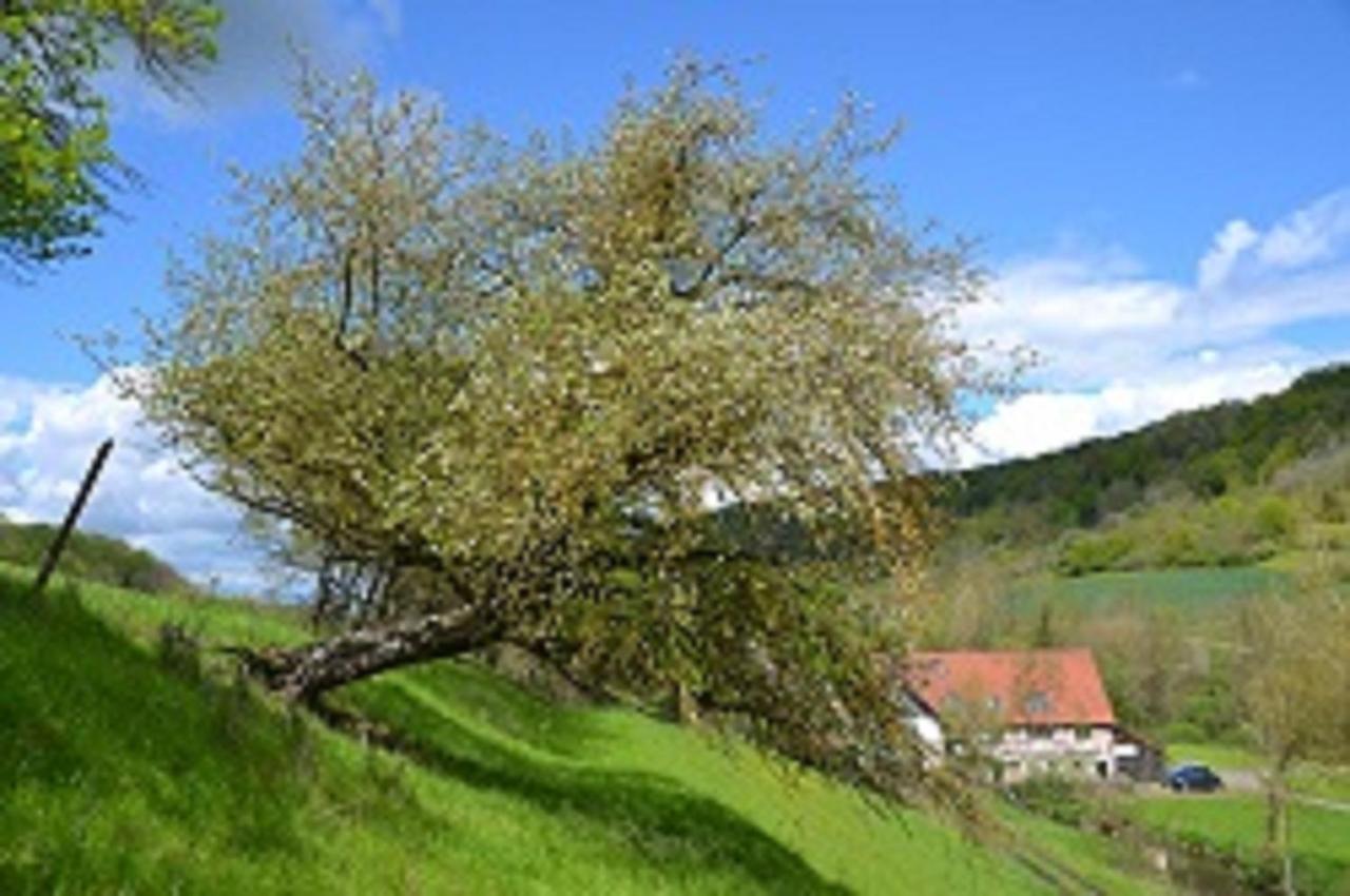 Gasthaus Holdermuehle Creglingen Extérieur photo